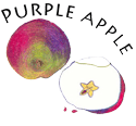 Purple Apple Book